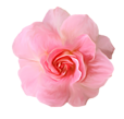 0_c0435_96b5ecf1_S (114x109, 19Kb)