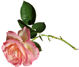 flower_100 (160x135, 26Kb)