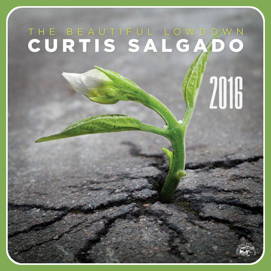 Curtis Salgado - The Beautiful Lowdown (2016)